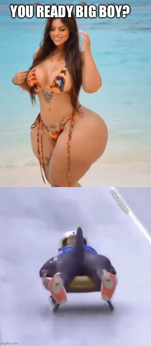 YOU READY BIG BOY? @CALJFREEMAN1 | image tagged in funny memes,big butts,big butt,big booty,when you see the booty | made w/ Imgflip meme maker