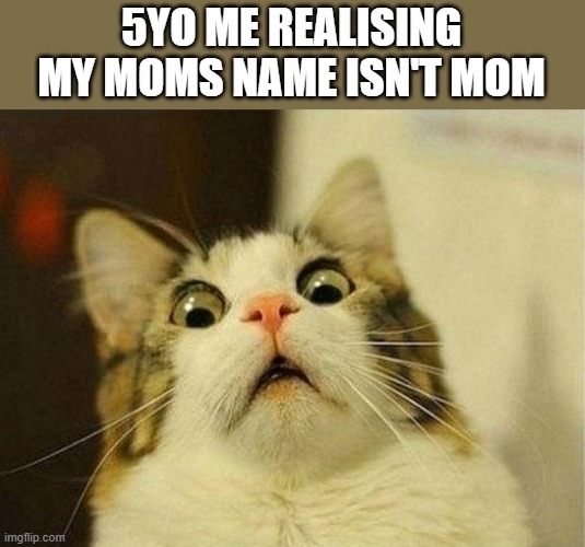 Scared Cat Meme | 5YO ME REALISING MY MOMS NAME ISN'T MOM | image tagged in memes,scared cat | made w/ Imgflip meme maker