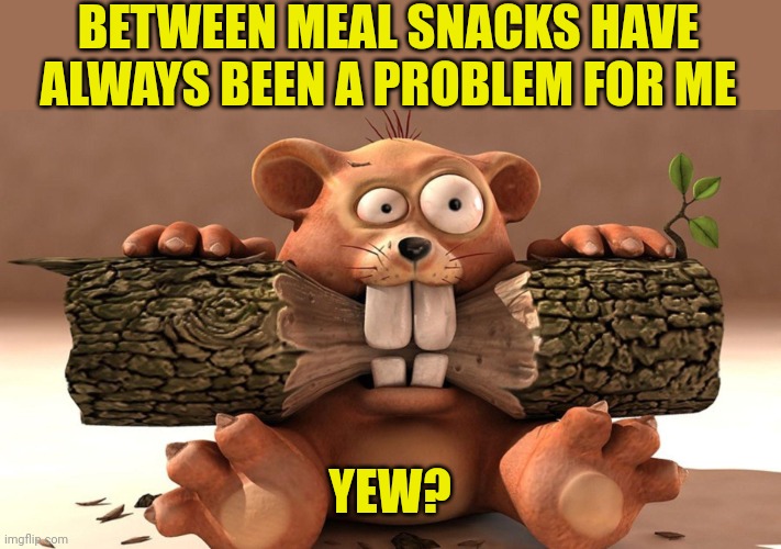 Between meal snack | BETWEEN MEAL SNACKS HAVE ALWAYS BEEN A PROBLEM FOR ME; YEW? | image tagged in between meal snack | made w/ Imgflip meme maker