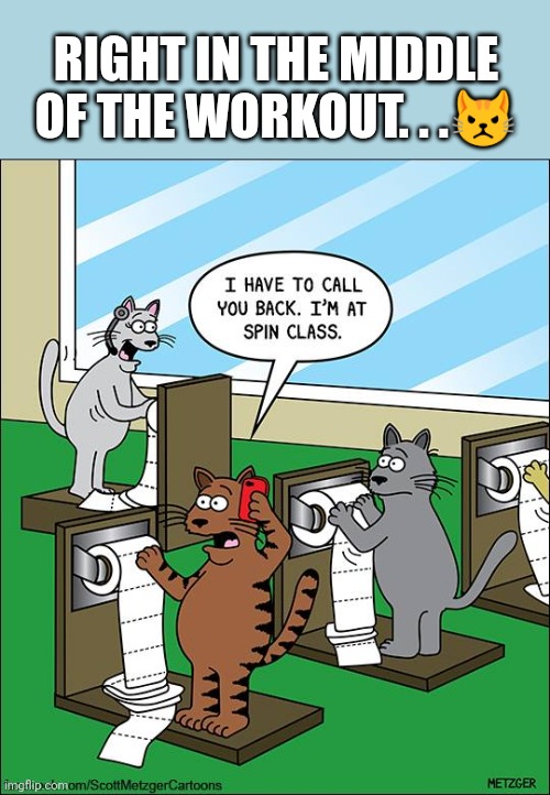Spin class | RIGHT IN THE MIDDLE OF THE WORKOUT. . .😾 | image tagged in spin class | made w/ Imgflip meme maker