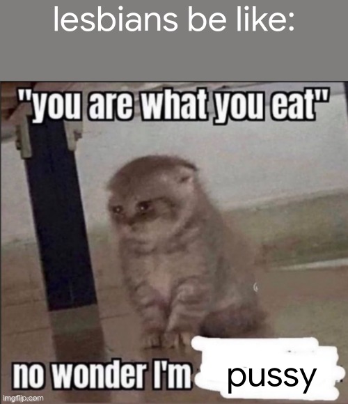 or smth idfk im not a girl or lesbian | lesbians be like:; pussy | image tagged in you are what you eat | made w/ Imgflip meme maker