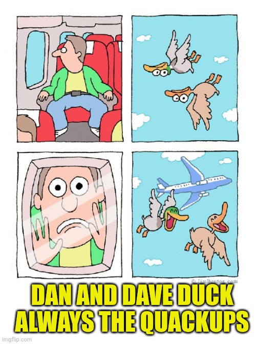 DAN AND DAVE DUCK
ALWAYS THE QUACKUPS | image tagged in dan and david duck,blank white template | made w/ Imgflip meme maker