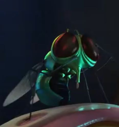 Fly (Figaro Pho) Blank Meme Template