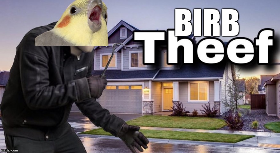 Theef | BIRB | image tagged in theef | made w/ Imgflip meme maker