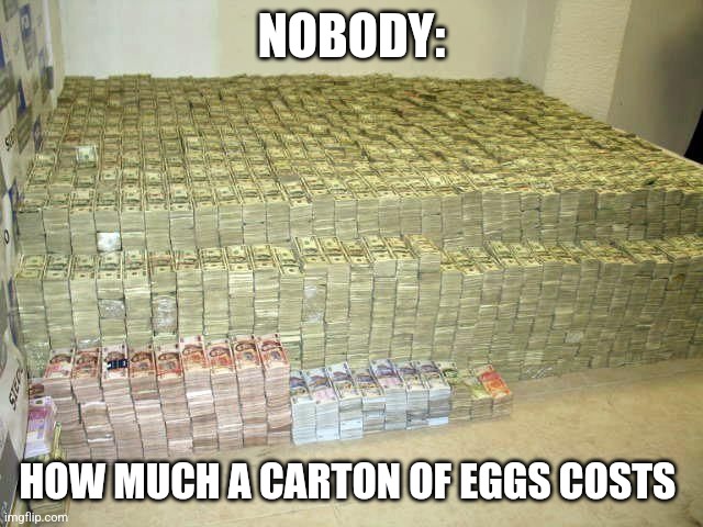 Eggs are way too expensive | NOBODY:; HOW MUCH A CARTON OF EGGS COSTS | image tagged in pile of money,food memes,money,jpfan102504 | made w/ Imgflip meme maker