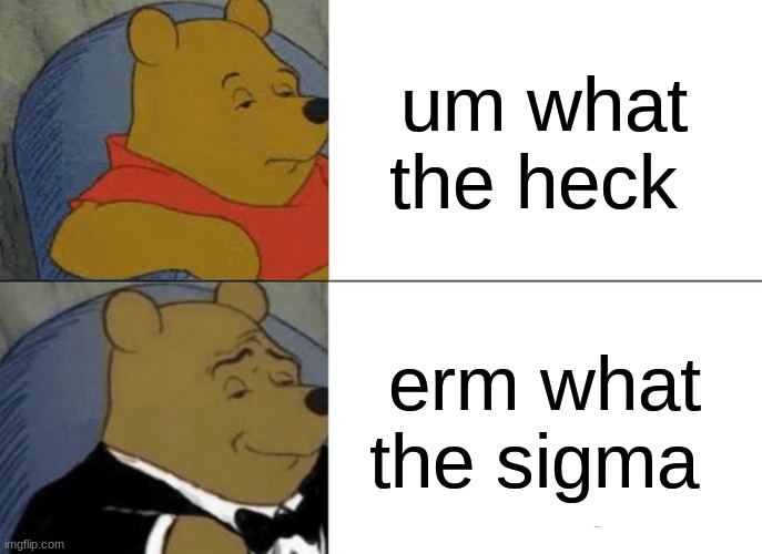 Tuxedo Winnie The Pooh Meme | um what the heck; erm what the sigma | image tagged in memes,tuxedo winnie the pooh | made w/ Imgflip meme maker
