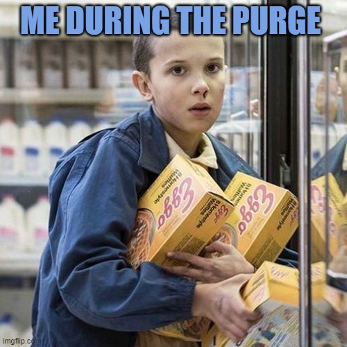 Mood | ME DURING THE PURGE | image tagged in mood | made w/ Imgflip meme maker