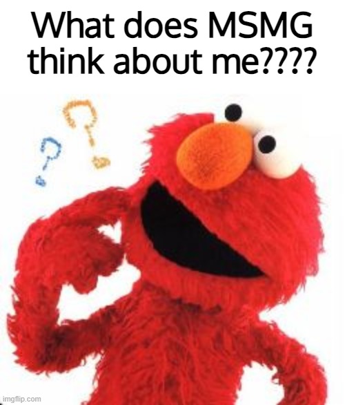 plz be nice | What does MSMG think about me???? | image tagged in elmo questions | made w/ Imgflip meme maker