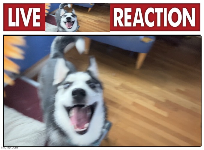 Reaction | made w/ Imgflip meme maker