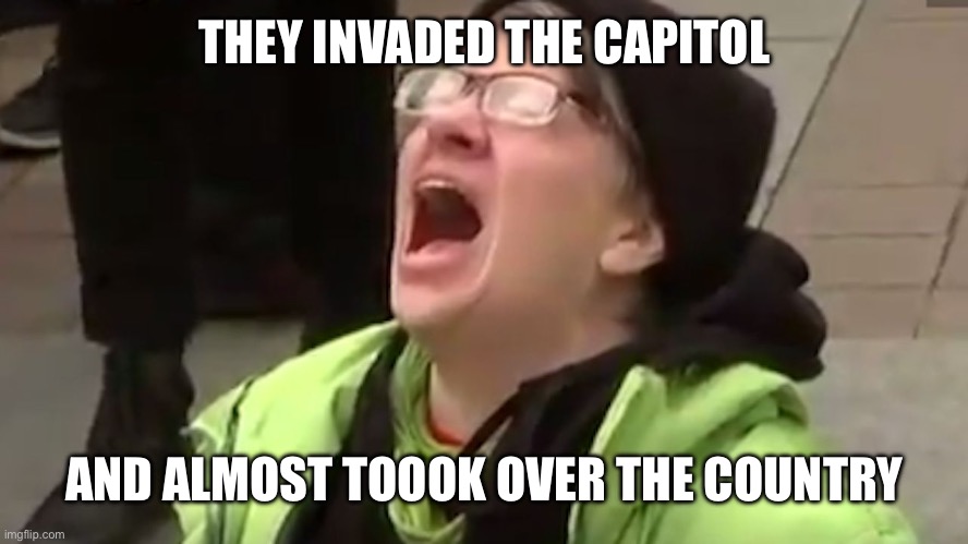 Screaming Liberal  | THEY INVADED THE CAPITOL AND ALMOST TOOOK OVER THE COUNTRY | image tagged in screaming liberal | made w/ Imgflip meme maker