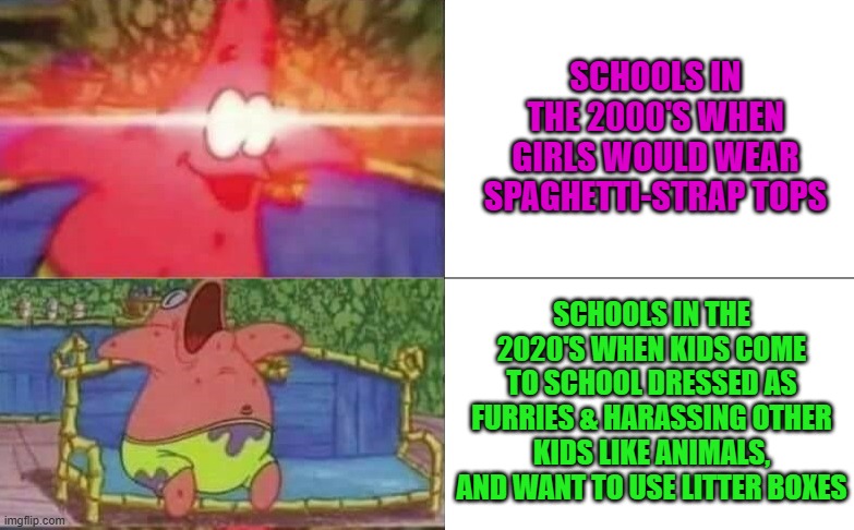 Patrick Awake vs. Patrick Sleeping | SCHOOLS IN THE 2000'S WHEN GIRLS WOULD WEAR SPAGHETTI-STRAP TOPS; SCHOOLS IN THE 2020'S WHEN KIDS COME TO SCHOOL DRESSED AS FURRIES & HARASSING OTHER KIDS LIKE ANIMALS, AND WANT TO USE LITTER BOXES | image tagged in memes,furries,school,animals,patrick star | made w/ Imgflip meme maker