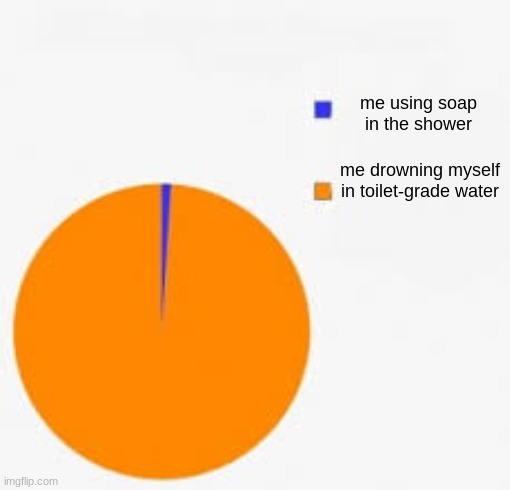 it's impossible not to relate if ur a boy | me using soap in the shower; me drowning myself in toilet-grade water | image tagged in pie chart meme | made w/ Imgflip meme maker
