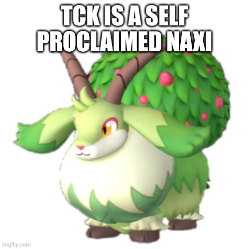 Caprity | TCK IS A SELF PROCLAIMED NAXI | image tagged in caprity | made w/ Imgflip meme maker
