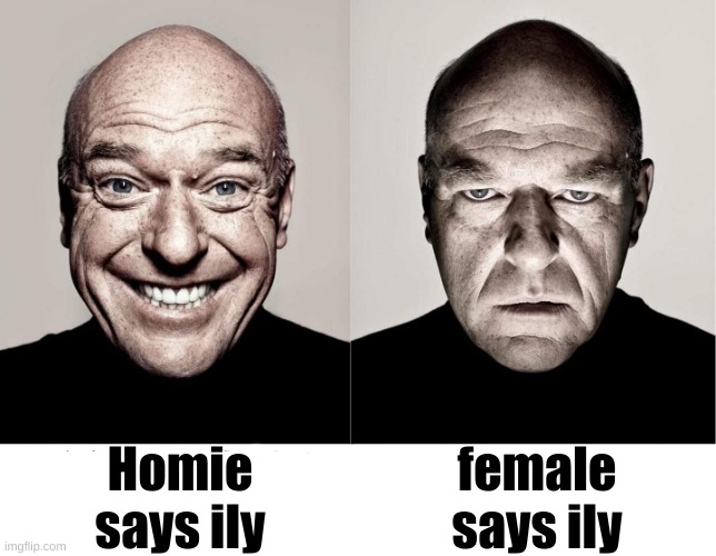 who here can relate | Homie says ily; female says ily | image tagged in breaking bad smile frown | made w/ Imgflip meme maker