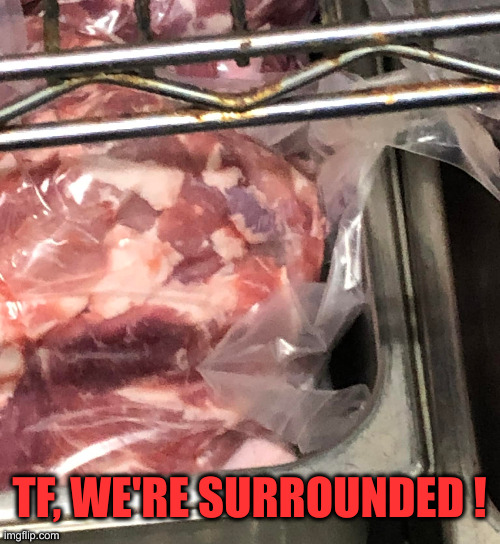 Clown Meat | TF, WE'RE SURROUNDED ! | image tagged in clown meat | made w/ Imgflip meme maker