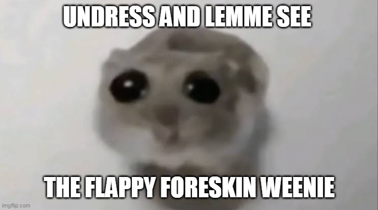 Sad Hamster | UNDRESS AND LEMME SEE; THE FLAPPY FORESKIN WEENIE | image tagged in sad hamster | made w/ Imgflip meme maker