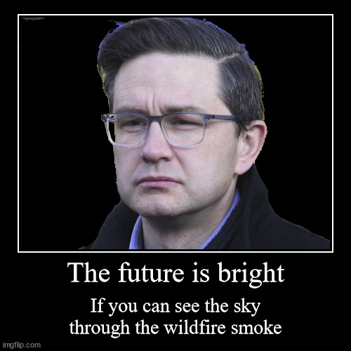 Wildfires | The future is bright | If you can see the sky through the wildfire smoke | image tagged in funny,demotivationals | made w/ Imgflip demotivational maker