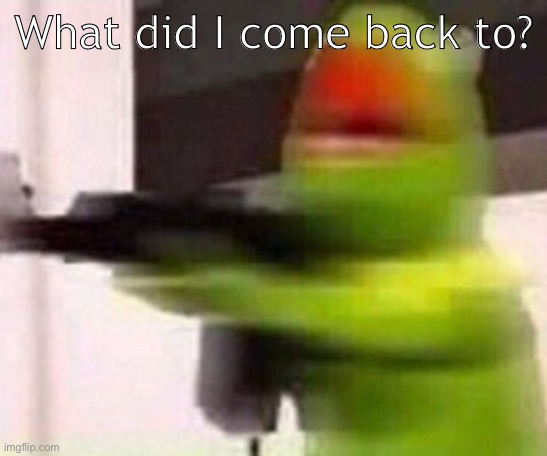 school shooter (muppet) | What did I come back to? | image tagged in school shooter muppet | made w/ Imgflip meme maker