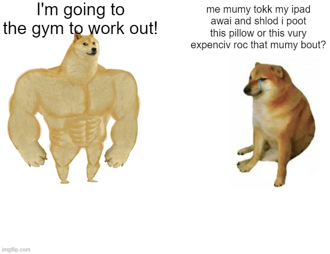 doge vs cheems | I'm going to the gym to work out! me mumy tokk my ipad awai and shlod i poot this pillow or this vury expenciv roc that mumy bout? | image tagged in memes,buff doge vs cheems | made w/ Imgflip meme maker