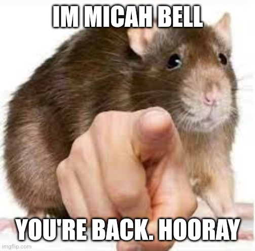 Pointing Rat | IM MICAH BELL; YOU'RE BACK. HOORAY | image tagged in pointing rat,rat,red dead redemption 2,red dead,red dead redemption | made w/ Imgflip meme maker