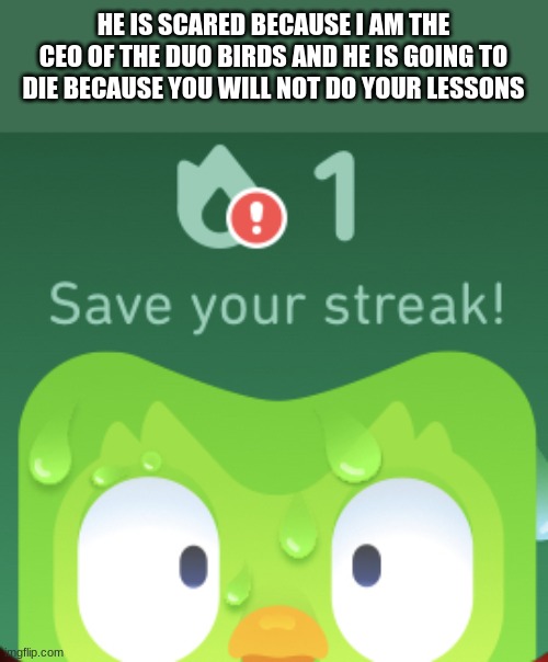 Duolingo scared | HE IS SCARED BECAUSE I AM THE CEO OF THE DUO BIRDS AND HE IS GOING TO DIE BECAUSE YOU WILL NOT DO YOUR LESSONS | image tagged in duolingo scared | made w/ Imgflip meme maker
