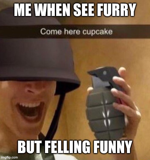Hehe | ME WHEN SEE FURRY; BUT FELLING FUNNY | image tagged in come here cupcake | made w/ Imgflip meme maker