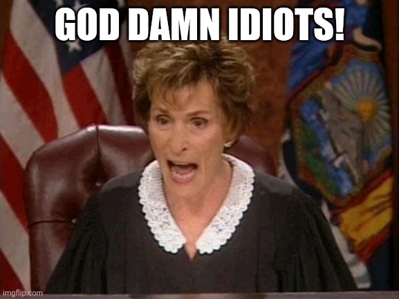 Judge Judy had a nervous breakdown | GOD DAMN IDIOTS! | image tagged in judge judy,angry old man | made w/ Imgflip meme maker