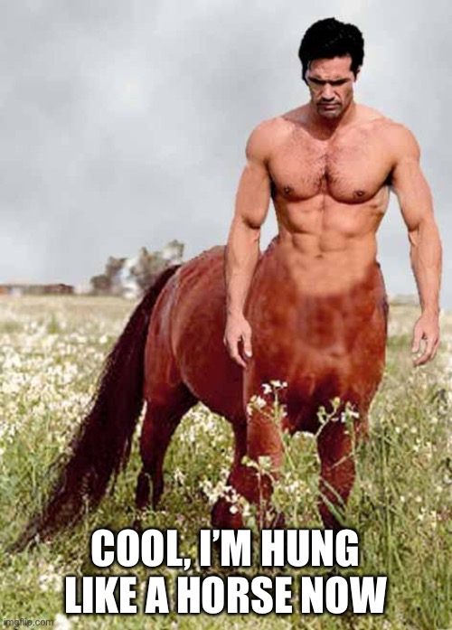 Centaur | COOL, I’M HUNG LIKE A HORSE NOW | image tagged in centaur | made w/ Imgflip meme maker