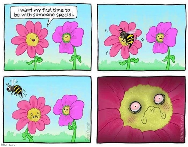 Bee | image tagged in bee,flowers,bees,flower,comics,comics/cartoons | made w/ Imgflip meme maker