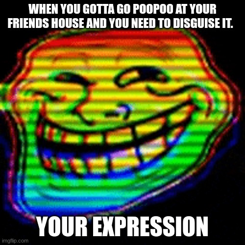 WHEN YOU GOTTA GO POOPOO AT YOUR FRIENDS HOUSE AND YOU NEED TO DISGUISE IT. YOUR EXPRESSION | image tagged in grumpy cat | made w/ Imgflip meme maker