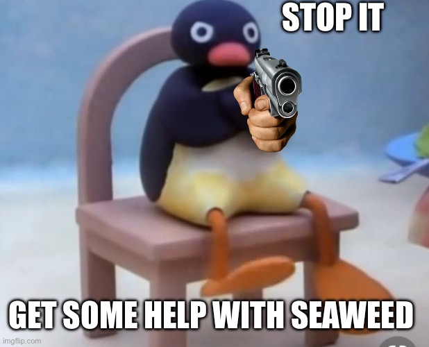 Angry pingu | STOP IT; GET SOME HELP WITH SEAWEED | image tagged in angry pingu,memes,pingu | made w/ Imgflip meme maker