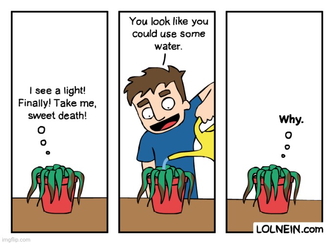 To grow and stay alive, plant | image tagged in water,plant,plants,death,comics,comics/cartoons | made w/ Imgflip meme maker