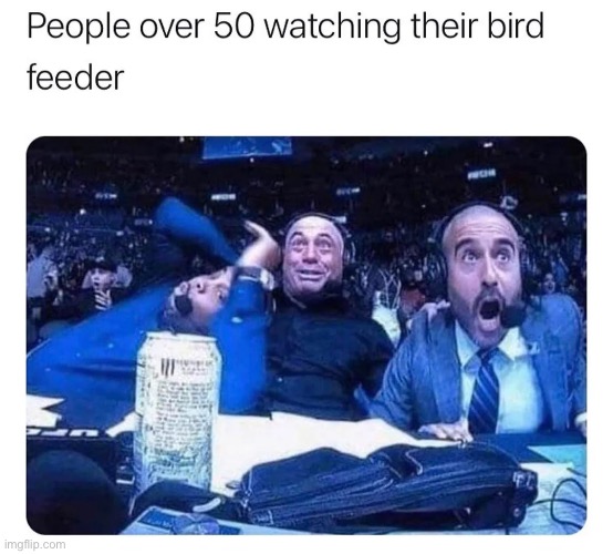 People over 50 | image tagged in old | made w/ Imgflip meme maker