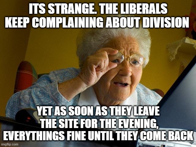 Grandma Finds The Internet Meme | ITS STRANGE. THE LIBERALS KEEP COMPLAINING ABOUT DIVISION; YET AS SOON AS THEY LEAVE  THE SITE FOR THE EVENING, EVERYTHINGS FINE UNTIL THEY COME BACK | image tagged in memes,grandma finds the internet | made w/ Imgflip meme maker