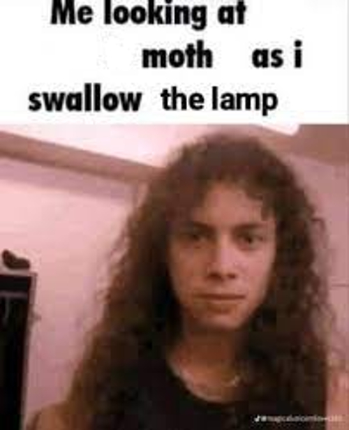 High Quality me looking at moth as i swallow the lamp Blank Meme Template