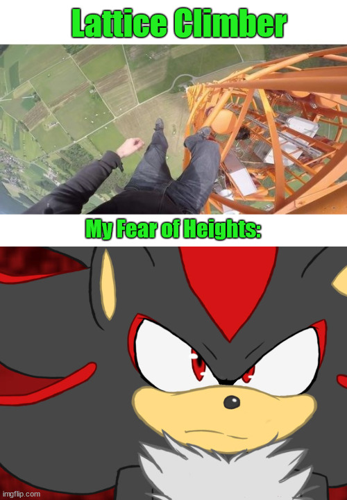shadow Blank Meme Template