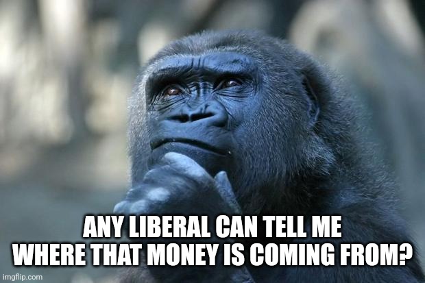 Deep Thoughts | ANY LIBERAL CAN TELL ME WHERE THAT MONEY IS COMING FROM? | image tagged in deep thoughts | made w/ Imgflip meme maker