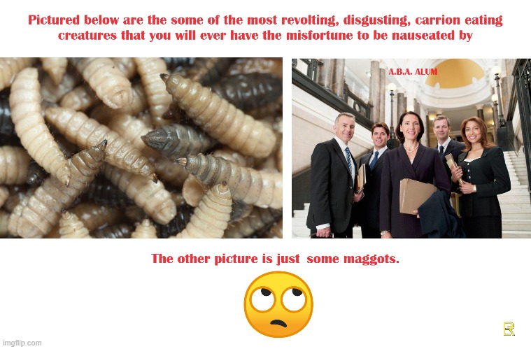 Vile and Nauseating | image tagged in lawyers,disgusting | made w/ Imgflip meme maker