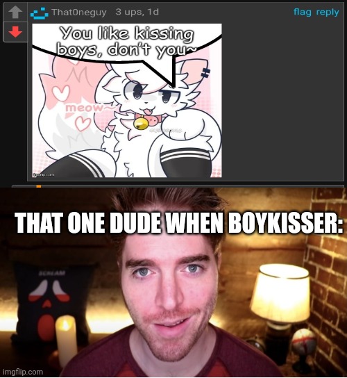 Shane Dawson moment: | THAT ONE DUDE WHEN BOYKISSER: | image tagged in shane dawson,wtf,cats,funny | made w/ Imgflip meme maker