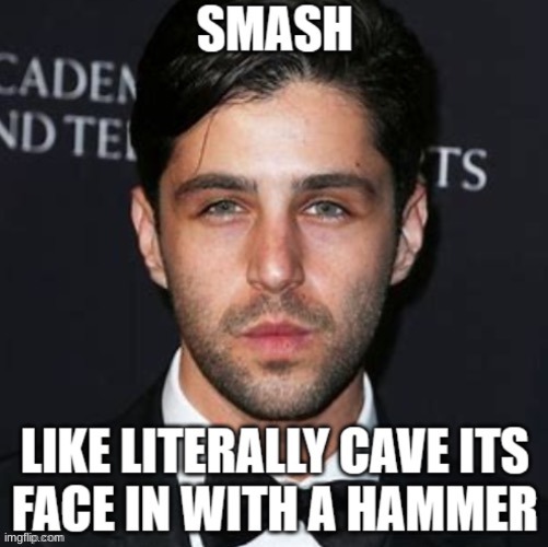 smash like literally kill it | image tagged in smash like literally kill it | made w/ Imgflip meme maker