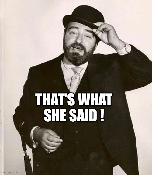 That’s what she said | THAT’S WHAT SHE SAID ! | image tagged in funny | made w/ Imgflip meme maker