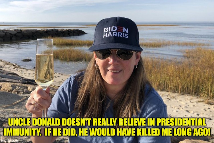 45's First Niece is a national treasure. | UNCLE DONALD DOESN'T REALLY BELIEVE IN PRESIDENTIAL IMMUNITY.  IF HE DID, HE WOULD HAVE KILLED ME LONG AGO! | image tagged in mary trump biden harris | made w/ Imgflip meme maker