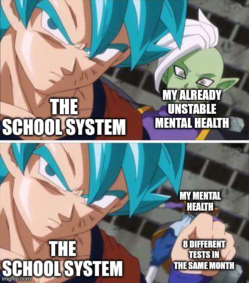Goku hits zamasu | MY ALREADY UNSTABLE MENTAL HEALTH; THE SCHOOL SYSTEM; MY MENTAL HEALTH; 8 DIFFERENT TESTS IN THE SAME MONTH; THE SCHOOL SYSTEM | image tagged in goku hits zamasu | made w/ Imgflip meme maker