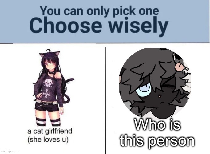 Who is this person | Who is this person | image tagged in choose wisely,furry,memes | made w/ Imgflip meme maker