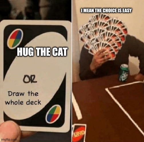 Hug it rn | I MEAN THE CHOICE IS EASY; HUG THE CAT | image tagged in uno draw the whole deck | made w/ Imgflip meme maker