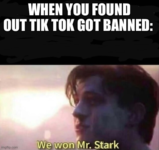 At last | WHEN YOU FOUND OUT TIK TOK GOT BANNED: | image tagged in we won mr stark,memes | made w/ Imgflip meme maker