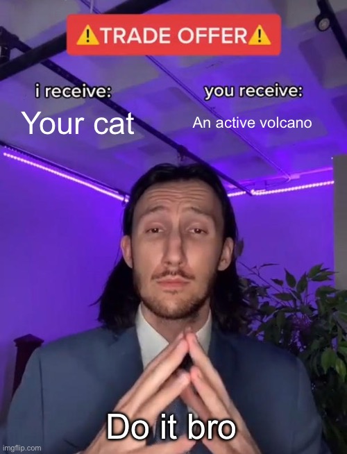 Cat for volcano | Your cat; An active volcano; Do it bro | image tagged in trade offer | made w/ Imgflip meme maker