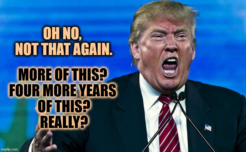 Enough? | OH NO, 
NOT THAT AGAIN. MORE OF THIS? 
FOUR MORE YEARS 
OF THIS?
REALLY? | image tagged in angry trump,trump,crazy,chaos,angry,corrupt | made w/ Imgflip meme maker
