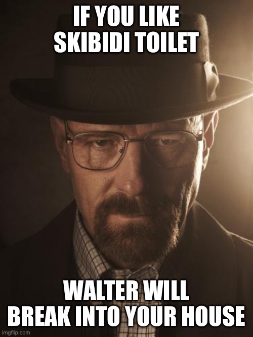 Walter White | IF YOU LIKE SKIBIDI TOILET; WALTER WILL BREAK INTO YOUR HOUSE | image tagged in walter white | made w/ Imgflip meme maker