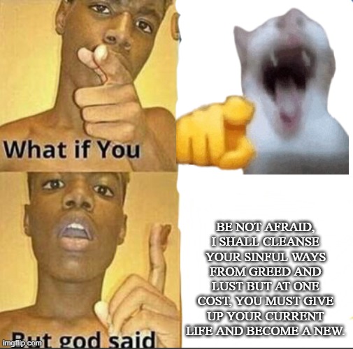 What if you-But god said | BE NOT AFRAID, I SHALL CLEANSE YOUR SINFUL WAYS FROM GREED AND LUST BUT AT ONE COST, YOU MUST GIVE UP YOUR CURRENT LIFE AND BECOME A NEW. | image tagged in what if you-but god said | made w/ Imgflip meme maker